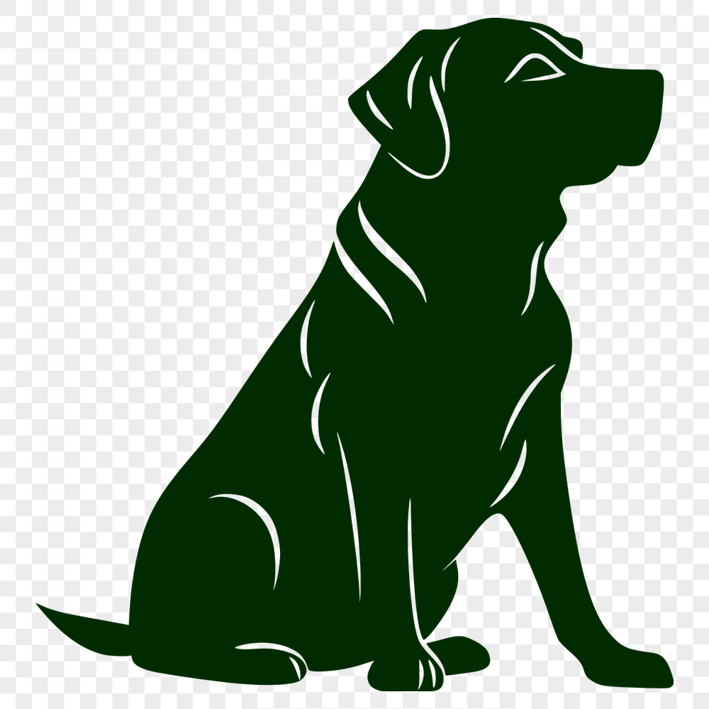 Stunning Labrador Retriever - For Laser Project