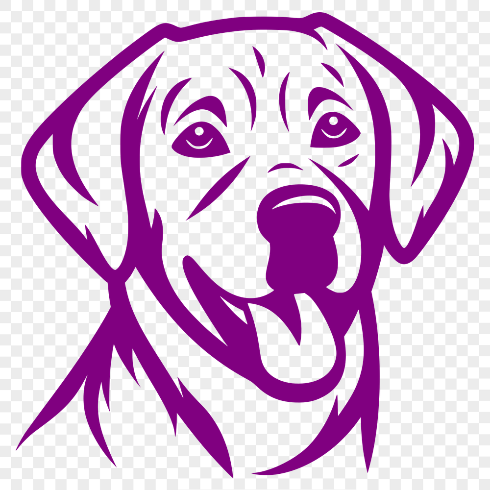 Free Labrador Retriever PNG