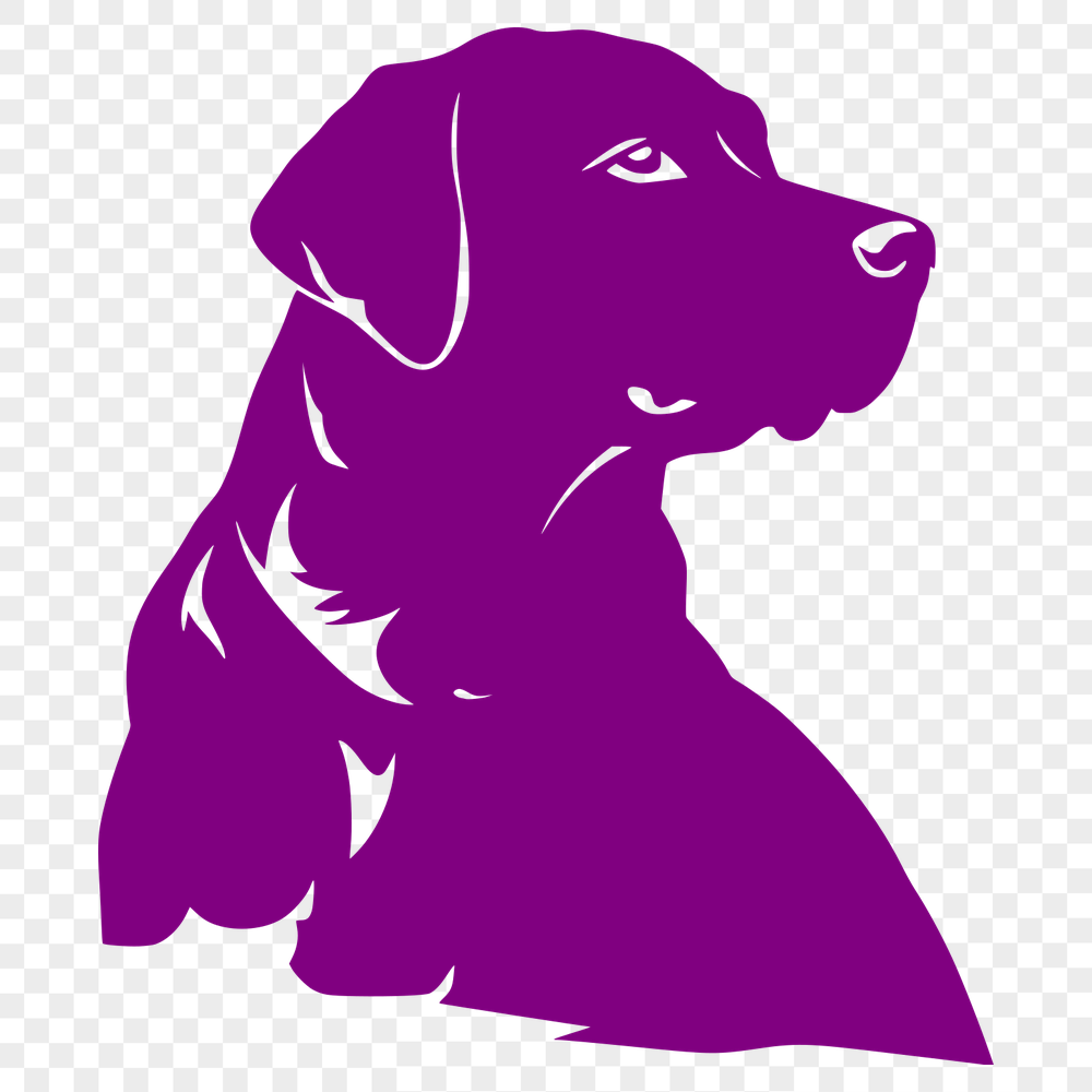 Artistic Labrador Retriever Design