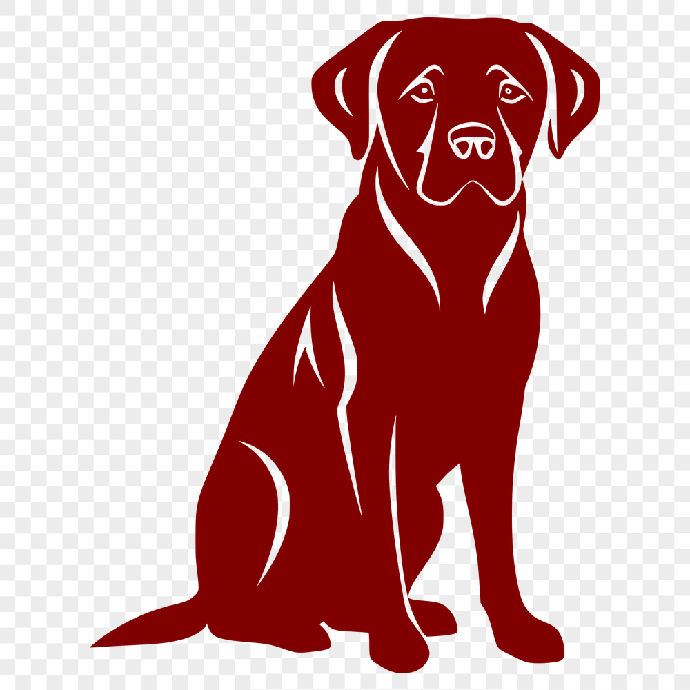 Beautiful Labrador Retriever - For Laser Project