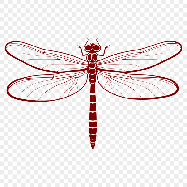 Colorful Vector Fly Design A detailed illustration of a dragonfly in various colors, suitable for vector art projects.