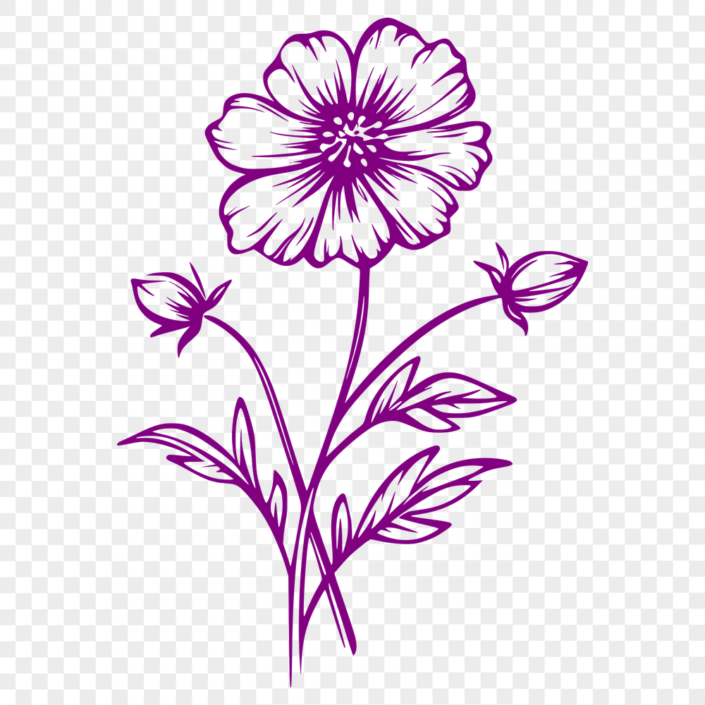 Wild Flower Image In PNG & SVG - Free Digital Download