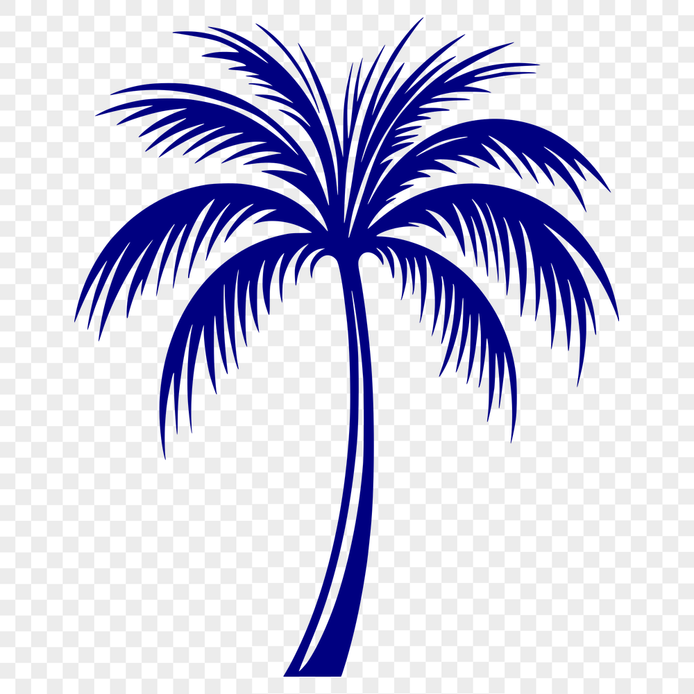 Unique Palm Tree In PNG Free Commercial Use Download