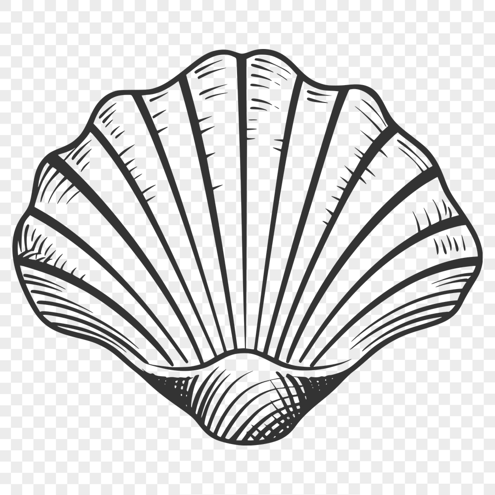 Free Unique Seashell Vector Image SVG - Commercial Use