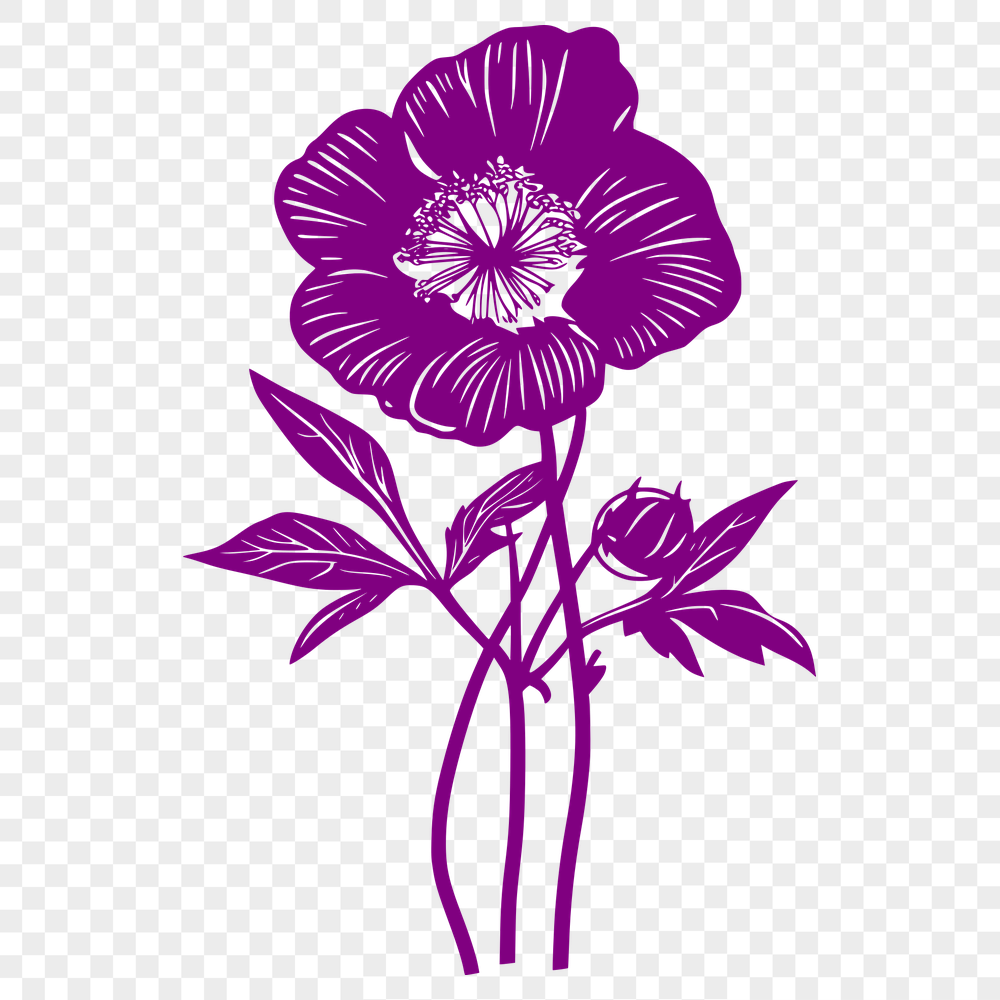 Beautiful Flower Drawing - Free PNG