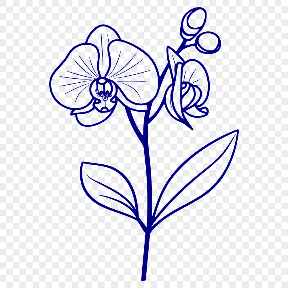 Unique Flower Vector Craft File - Free DXF Download