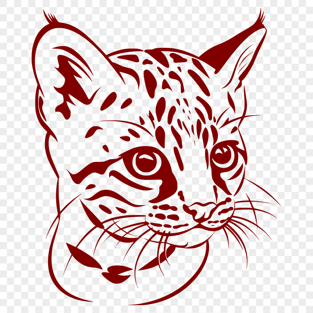 Beautiful Big Cat - Vinyl PNG