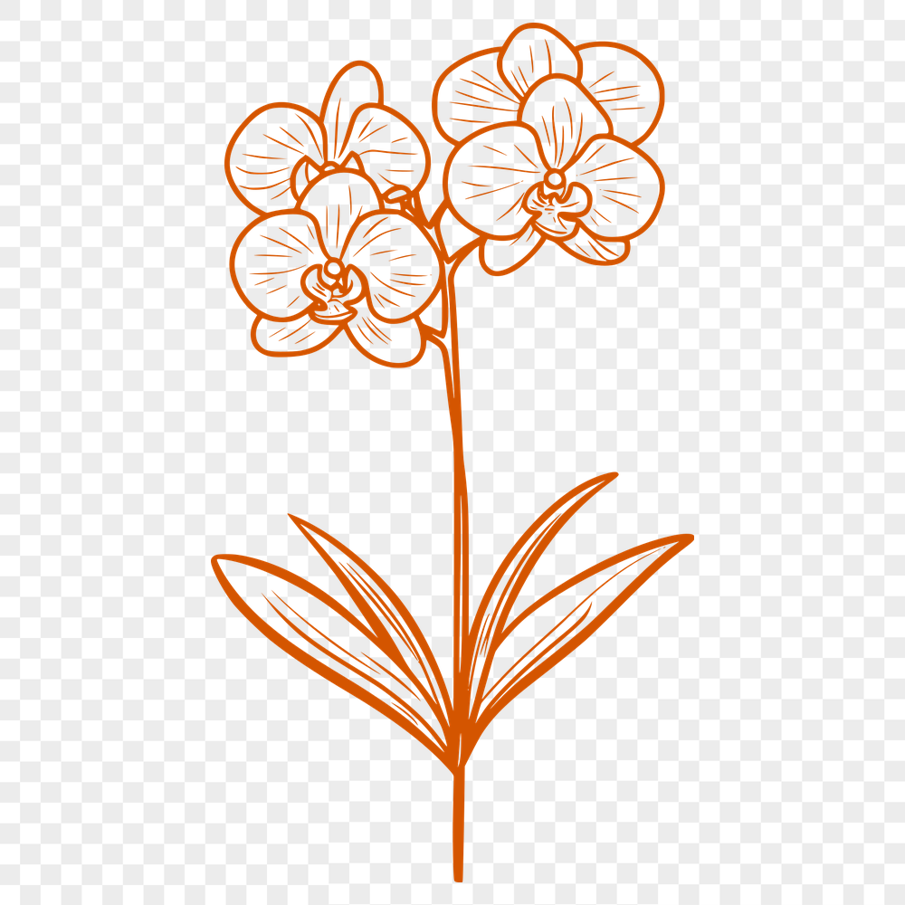 Creative Orchid In SVG - For Free Download, Commercial Use