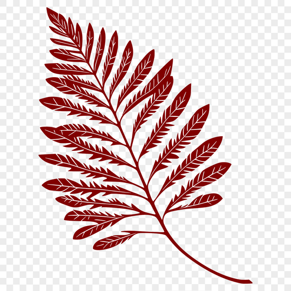 A single, detailed illustration of a leaf, suitable for vector art designs.