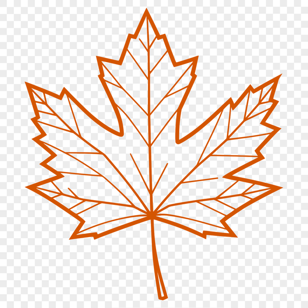 Detailed Vector Maple Leaf Illustration A detailed vector illustration of a single maple leaf with smooth edges and realistic texture.
