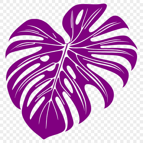 Elegant Monstera Leaf Vector Detailed illustration of a Monstera leaf in vector format, suitable for design and crafting projects.