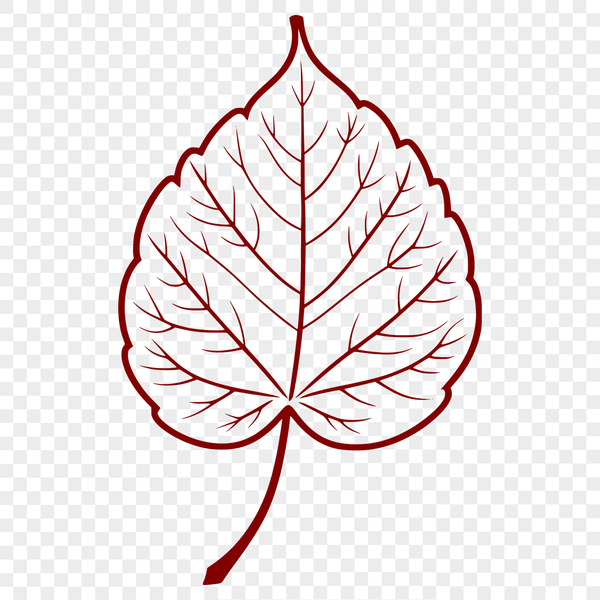 Free SVG Leaf Graphic Design Element An SVG graphic representation of a single leaf with intricate details.