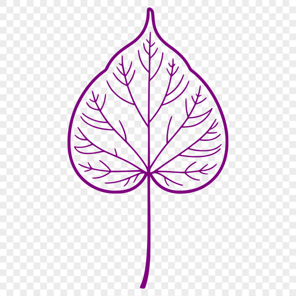 Beautiful Vector Leaf Design An illustrated leaf design created using vector graphics.