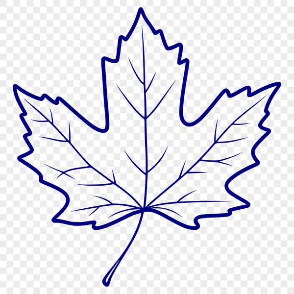 Simple Leaf Vector Graphic A vector illustration of a single green leaf with veins.