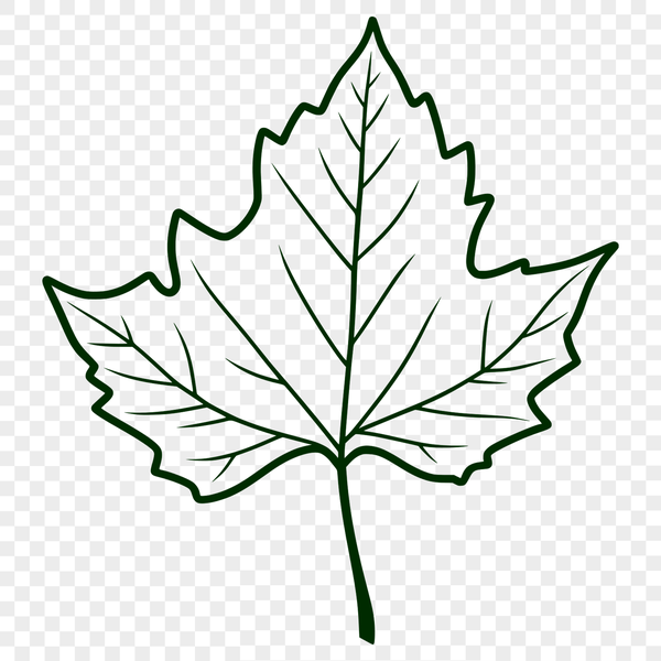 Free Vector Leaf Graphic Design A detailed digital representation of a single leaf in various shapes and sizes.