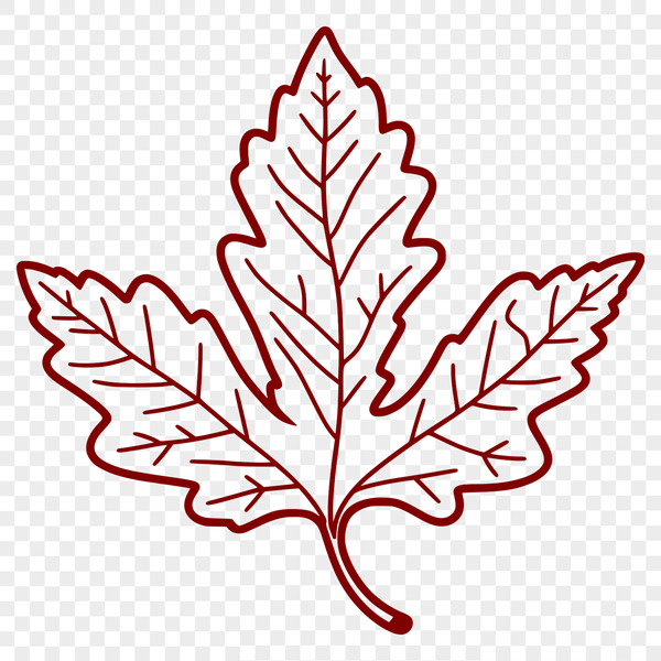 Leaf Illustration Vector Graphics A detailed illustration of a single leaf with intricate veins, suitable for vector graphics and design.