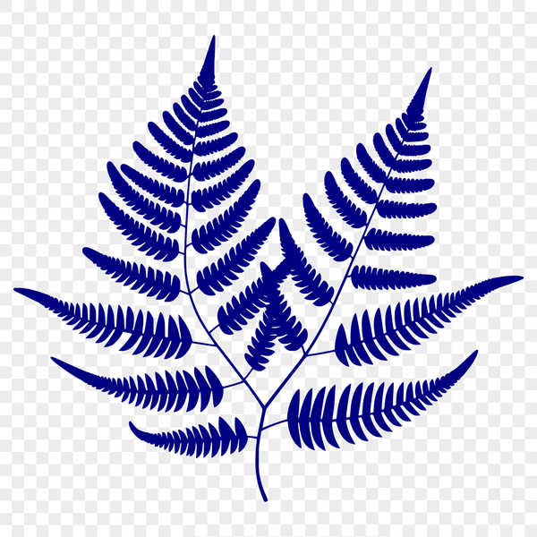 Vector Leaf Design A single, stylized leaf with veins, suitable for vector design and cutting machine projects.