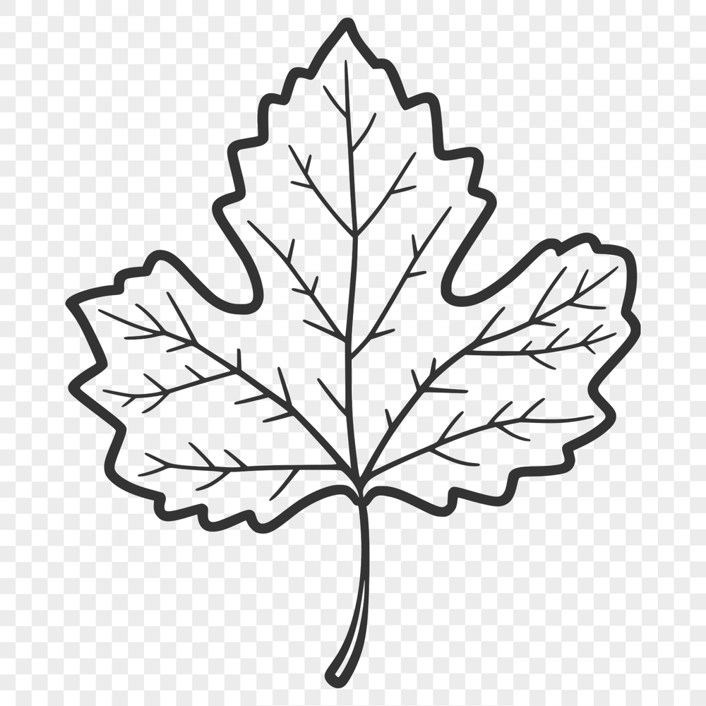 A detailed vector illustration of a single leaf with natural texture and veins.