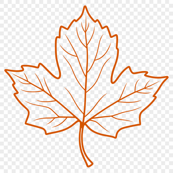 A green leaf shape with veins, suitable for graphic design and digital cutouts.