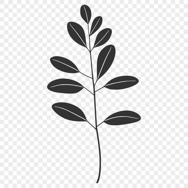 Beautiful Vector Leaf Clip Art A digital representation of a single leaf in vector format.