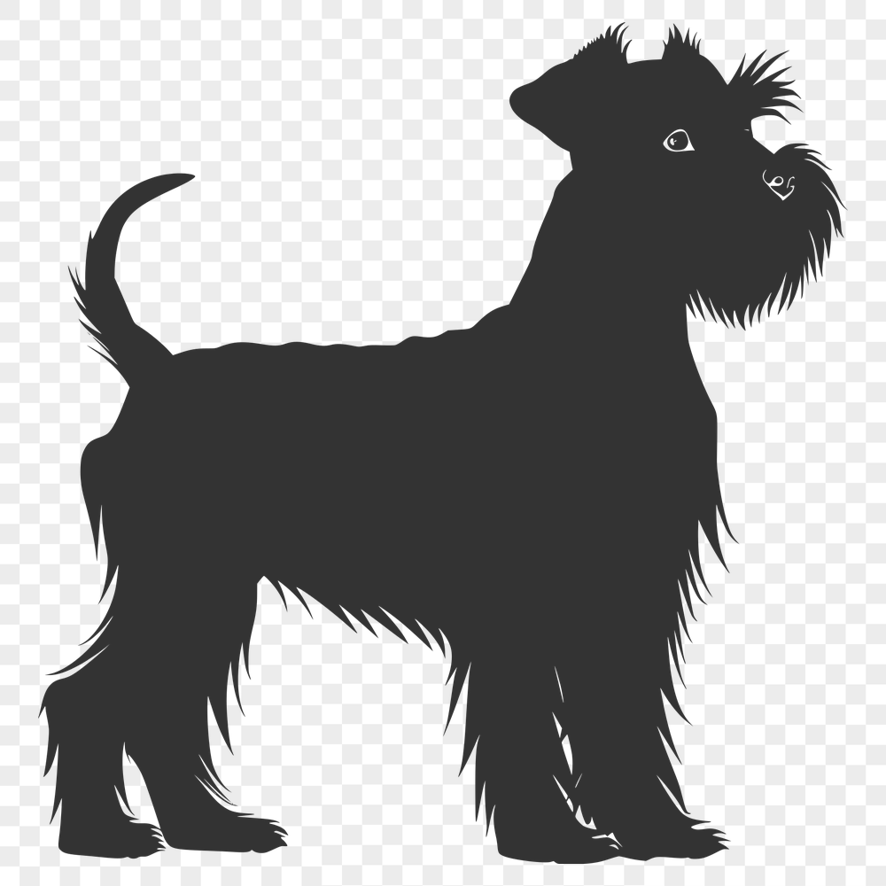 Artistic Miniature Schnauzer DXF