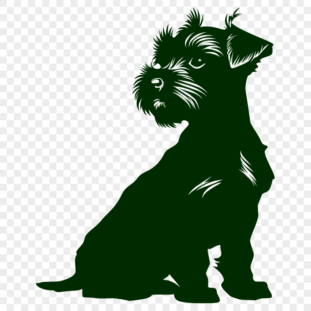 Free Unique Miniature Schnauzer Template