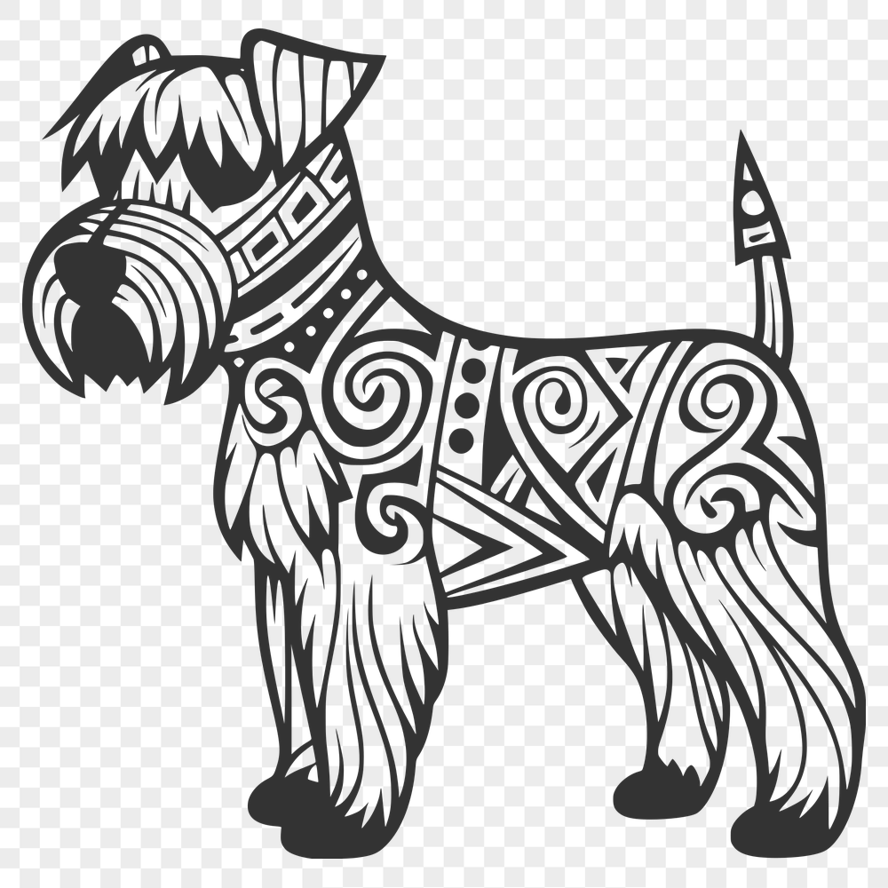 Standing Miniature Schnauzer PNG