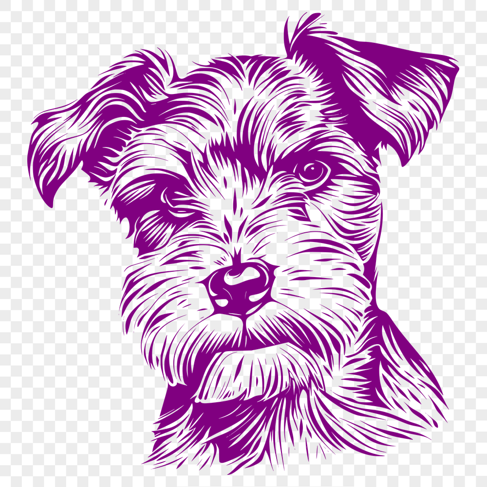 Free Artistic Miniature Schnauzer Artwork