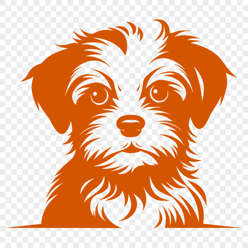 Stunning Morkie PNG