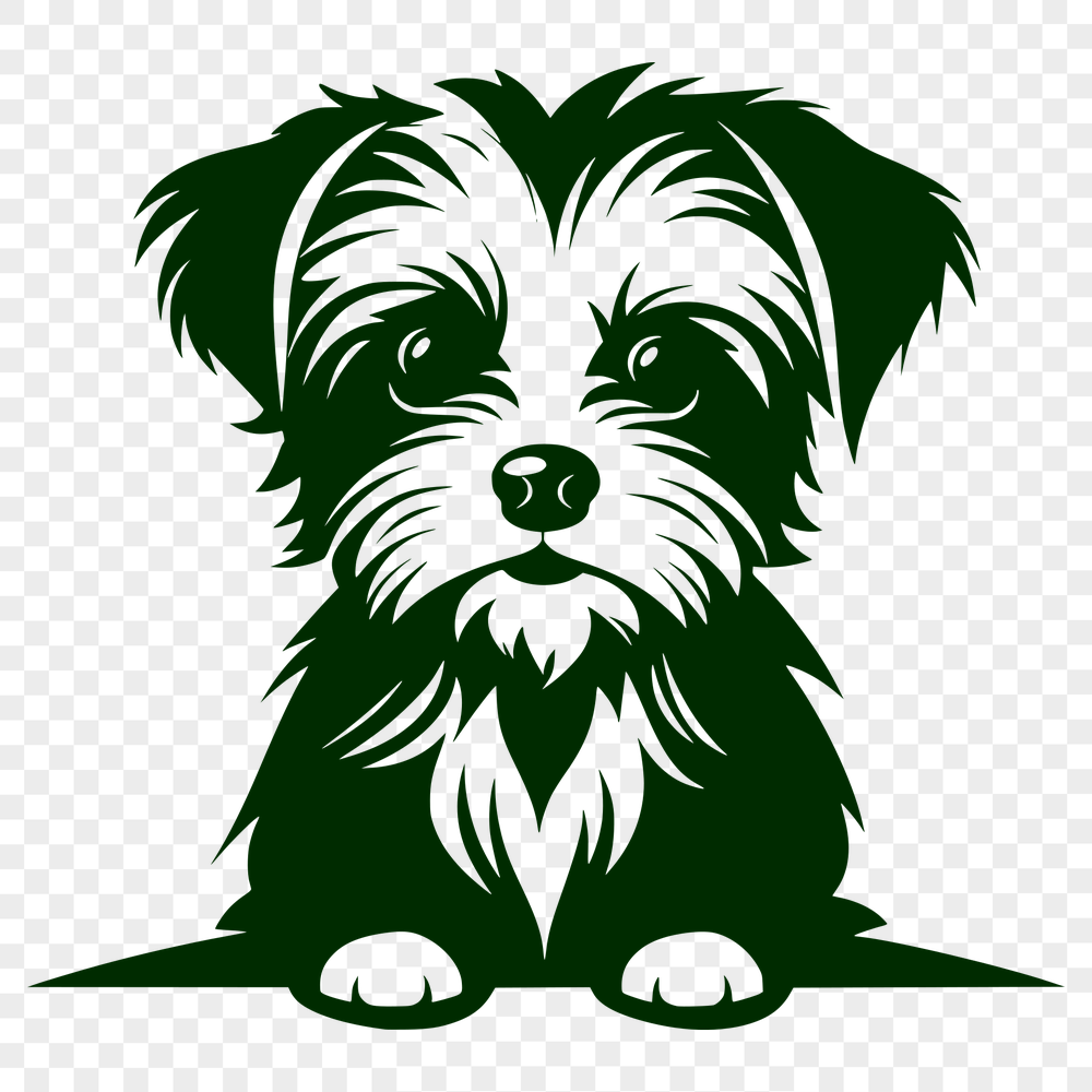 Beautiful Morkie - For Sublimation Project