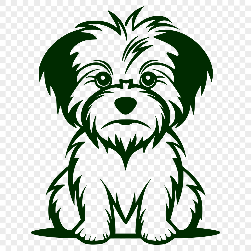 Free Morkie Digital Drawing