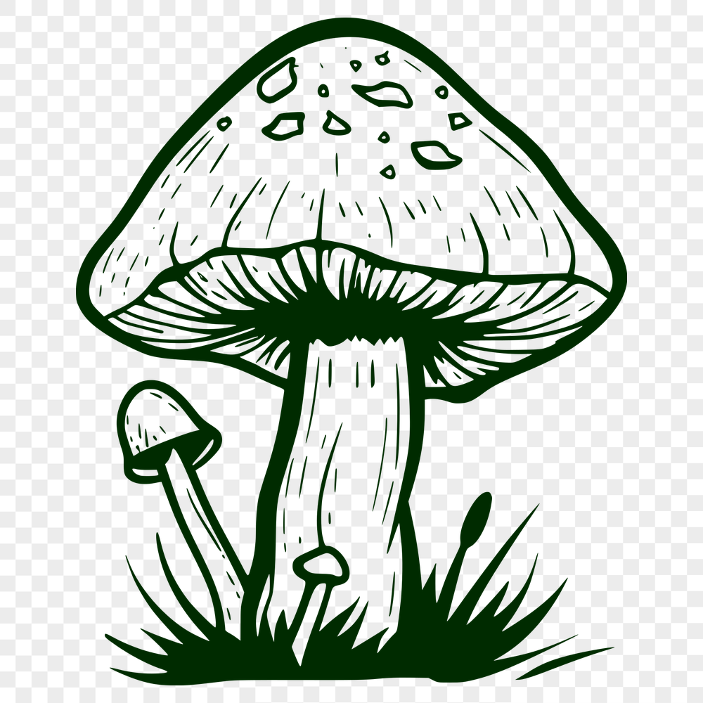 Beautiful Mushroom Printable Image