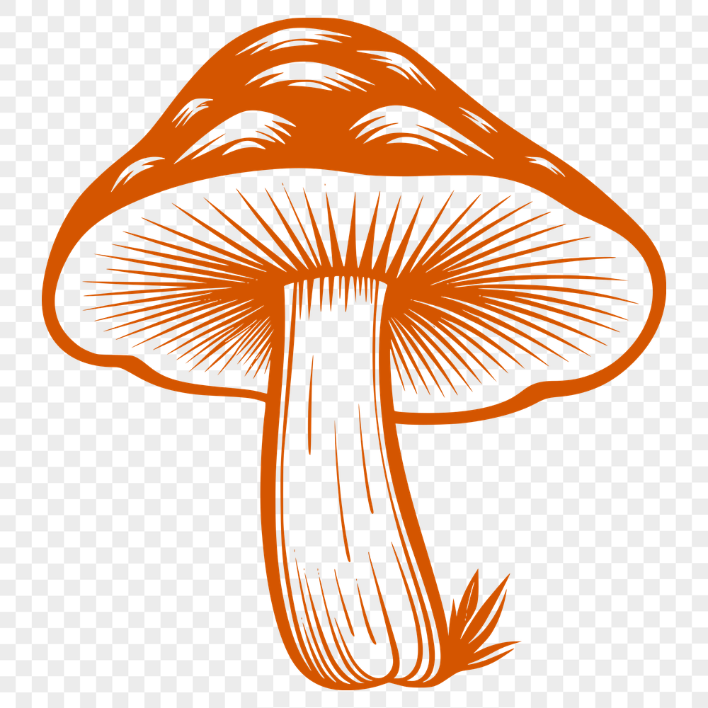 Artistic Mushroom Digital Drawing