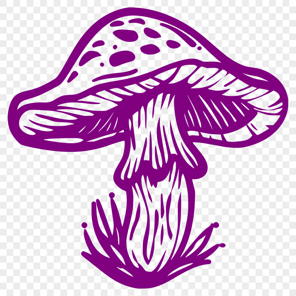 Free Mushroom - Food PDF