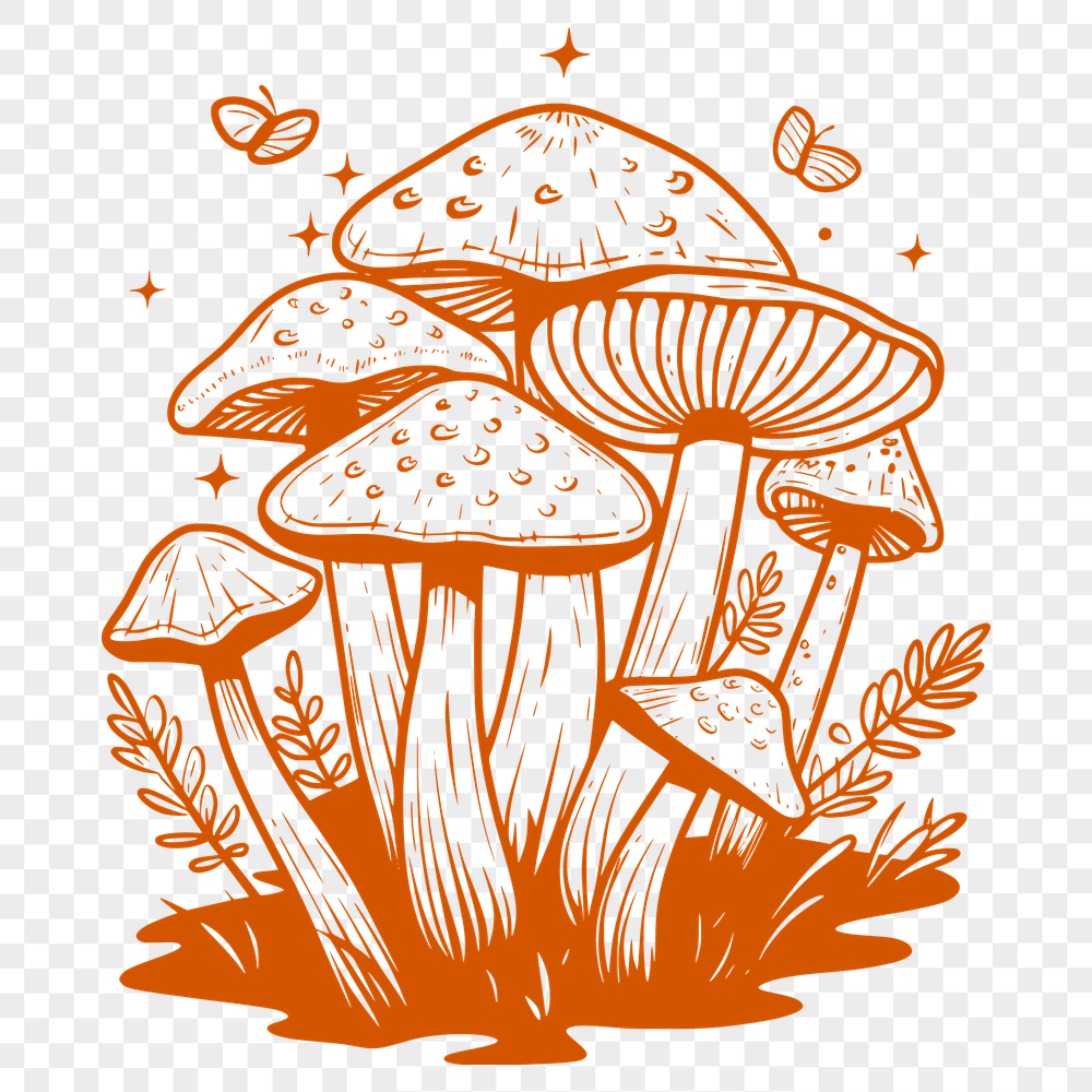 Free Stunning Mushroom Digital Art