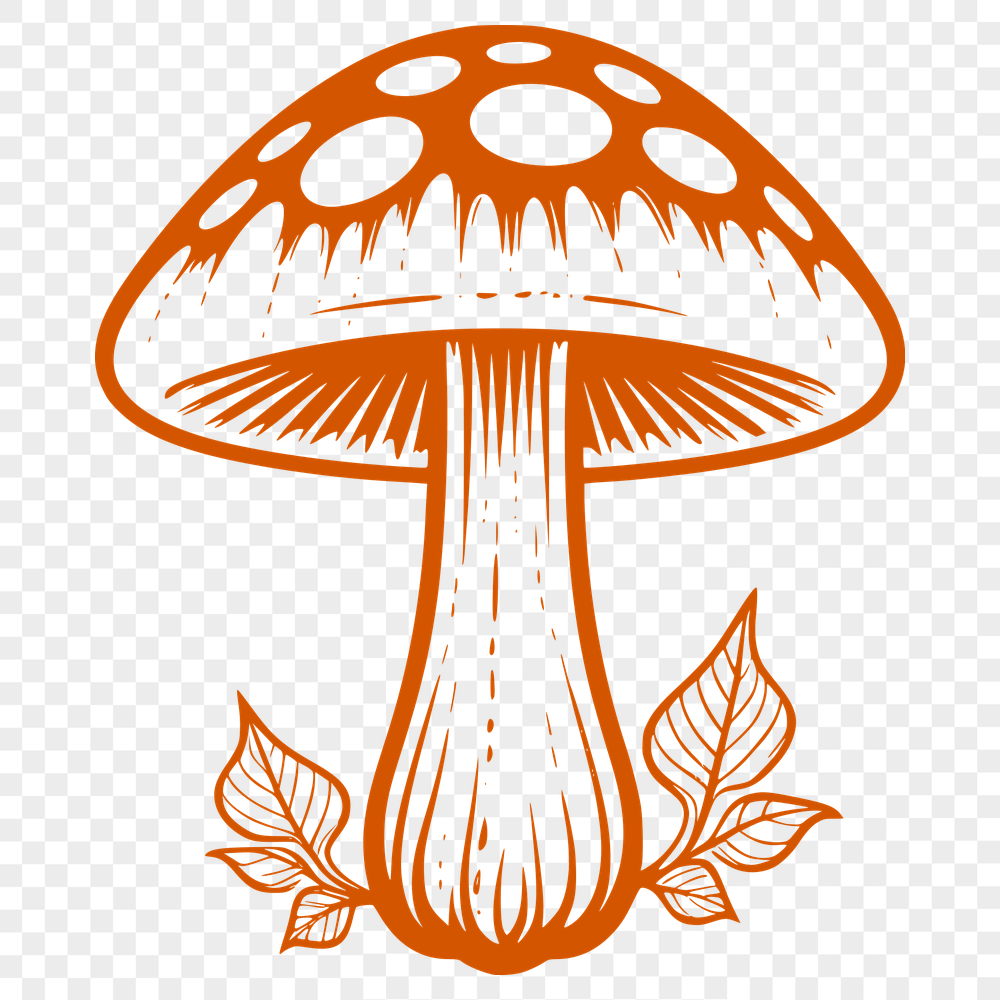 Beautiful Mushroom Drawing