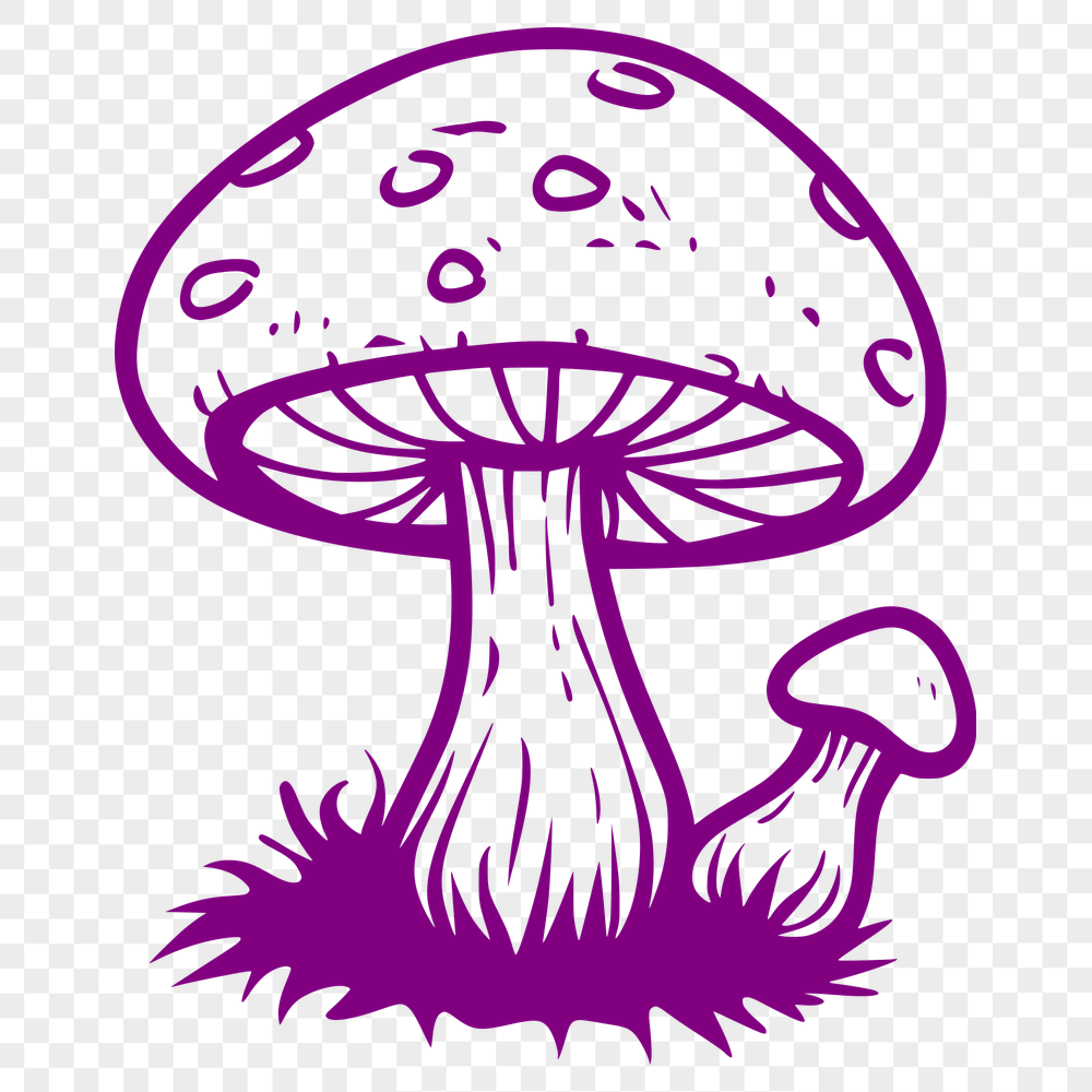 Creative Mushroom Digital Art