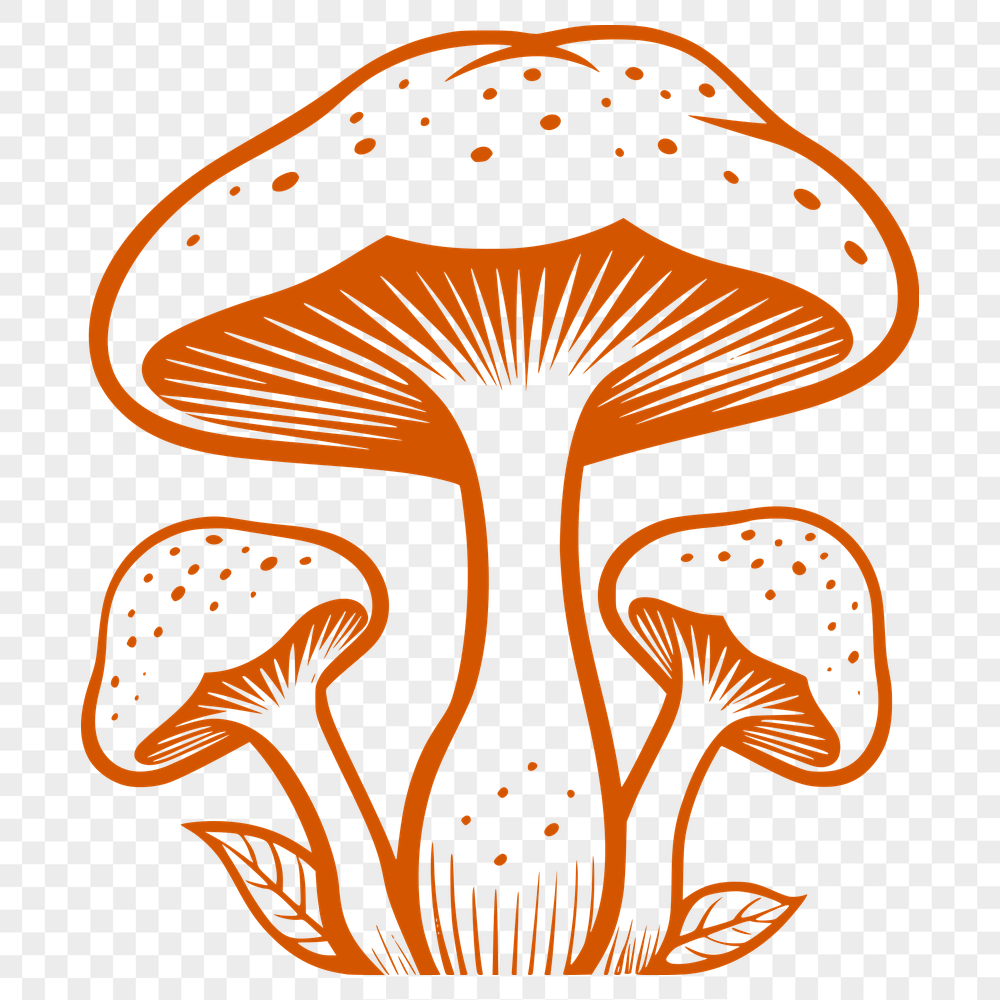 Unique Mushroom - For Food Project