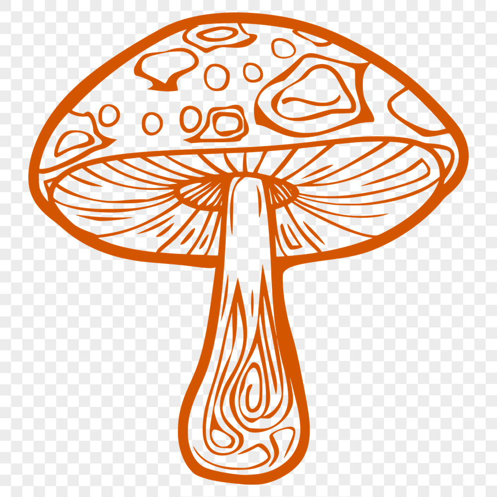 Unique Mushroom Digital Drawing