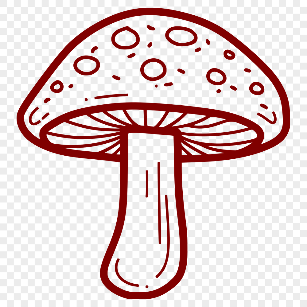 Beautiful Mushroom PNG