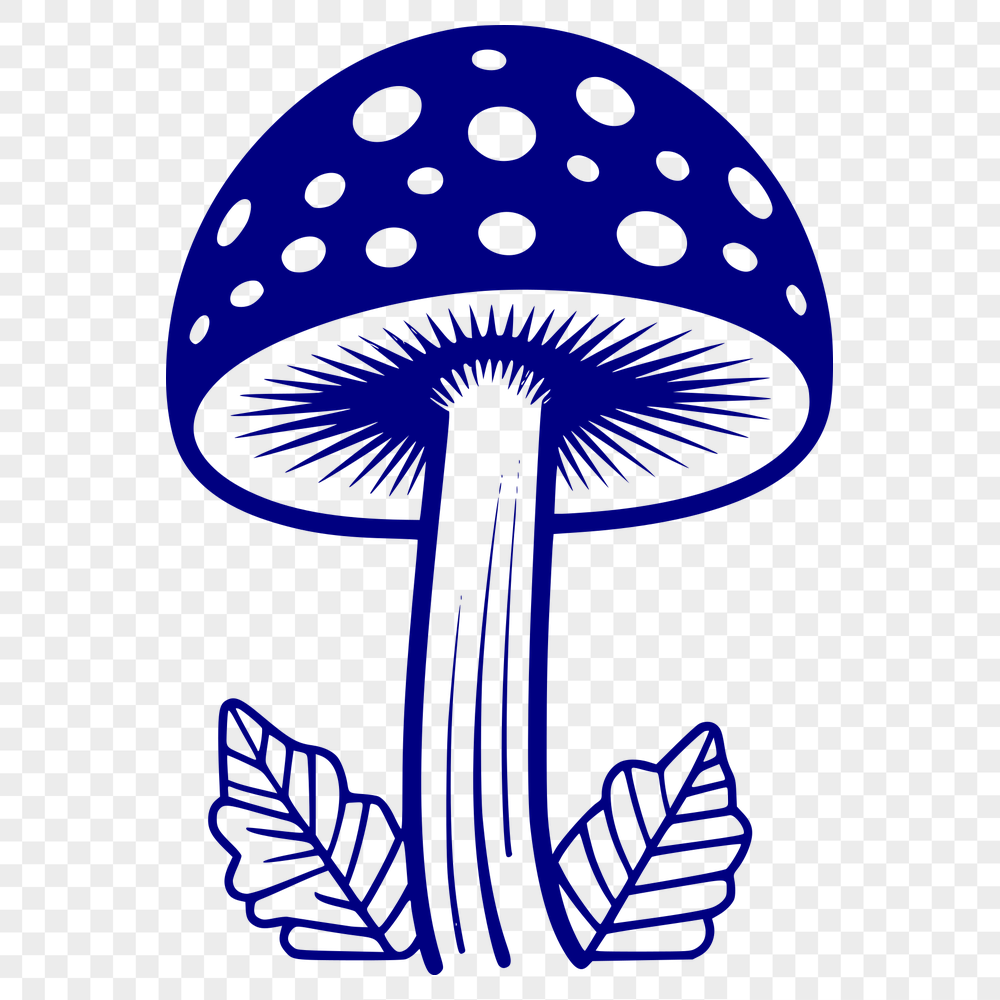 Free Mushroom Vector Illustration