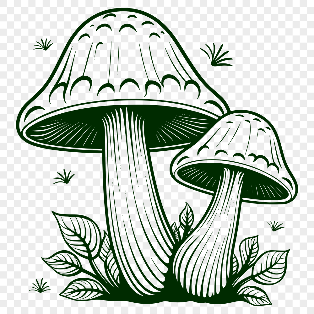 Stunning Mushroom SVG, PNG, PDF And DXF Files