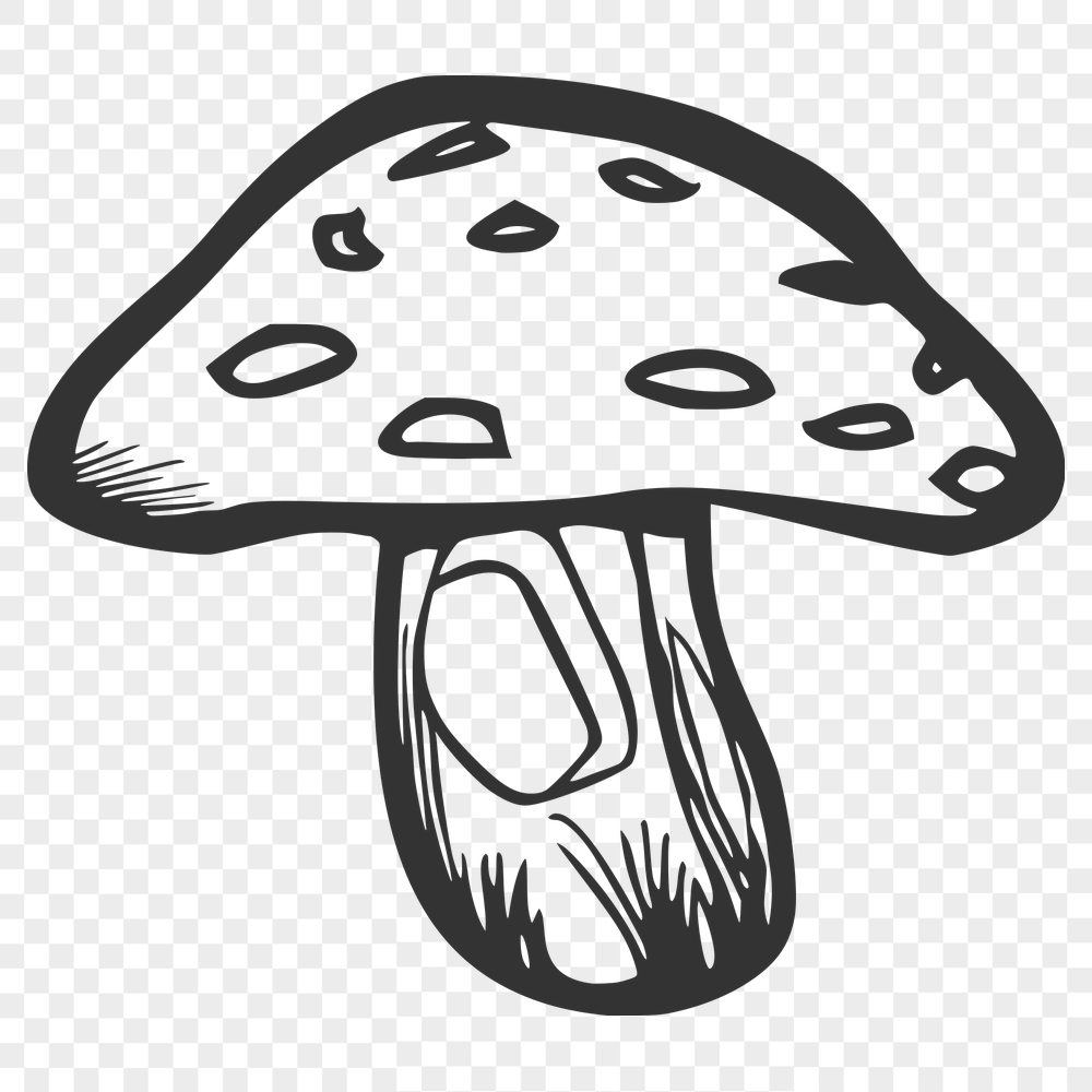 Free Unique Mushroom Artwork