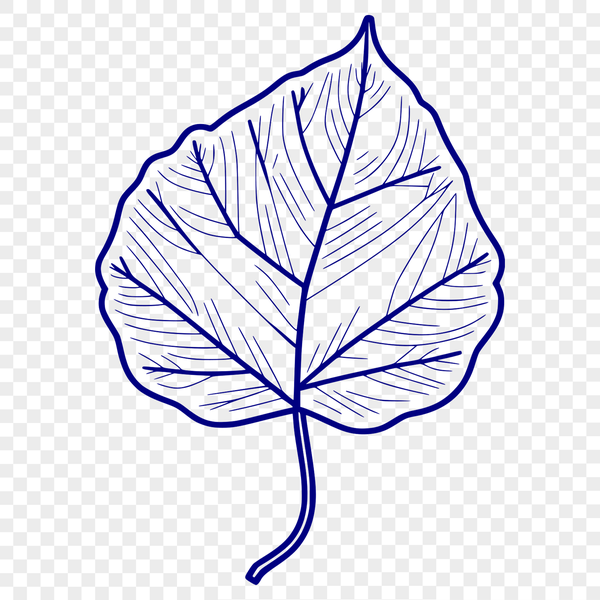 An illustration of a leaf in vector format for digital use.