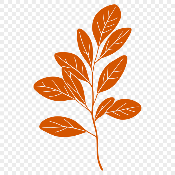 A stylized illustration of a single leaf with smooth edges and defined veins, suitable for vector graphic designs.