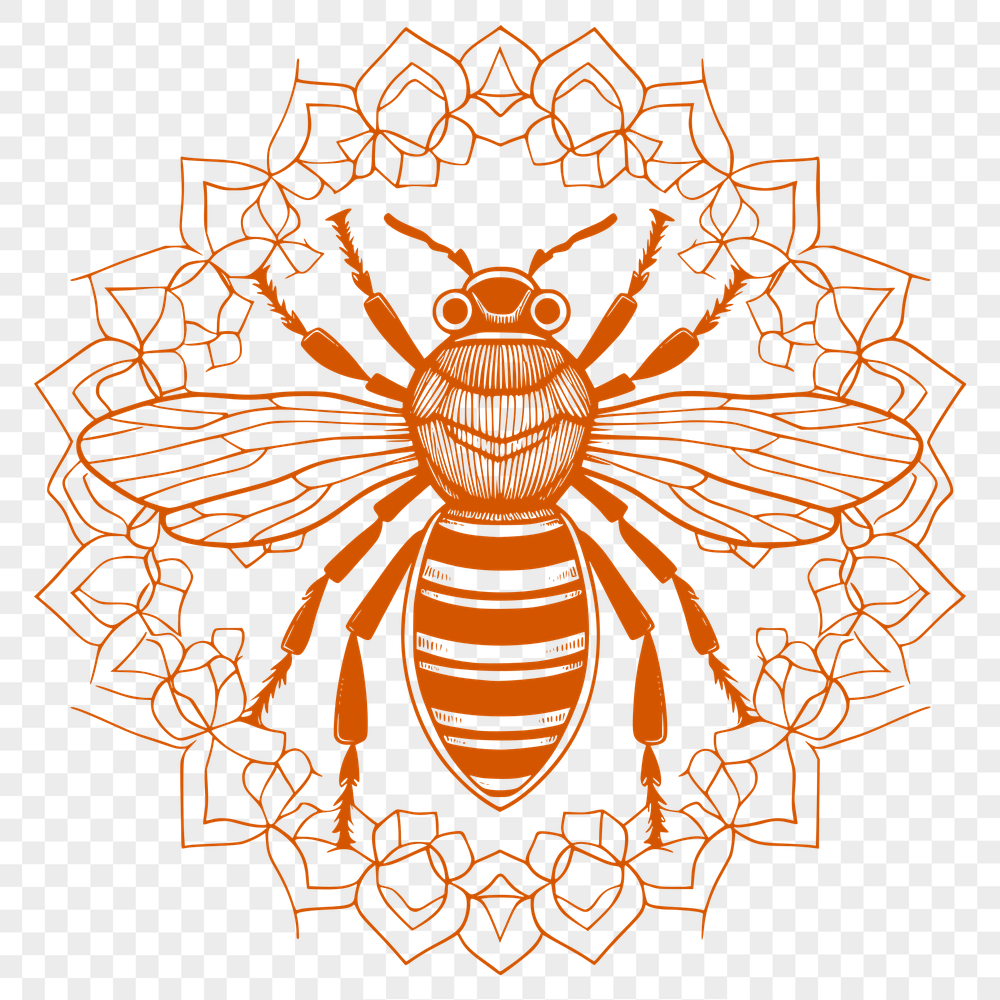 Beautiful Bee PNG