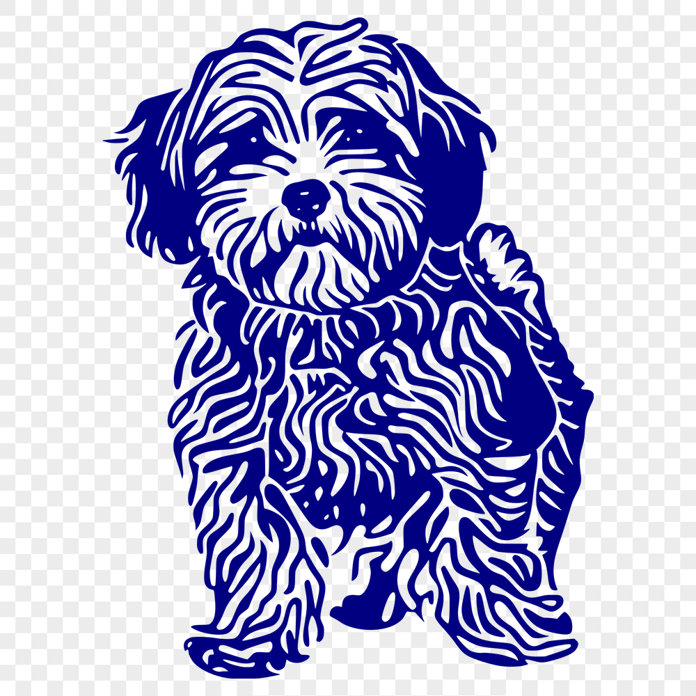 Unique Standing Havanese PNG