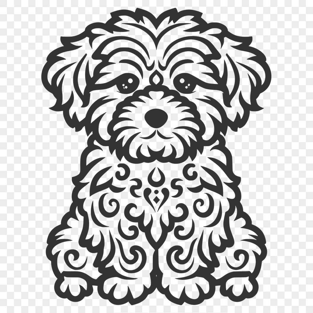 Unique Havanese PDF