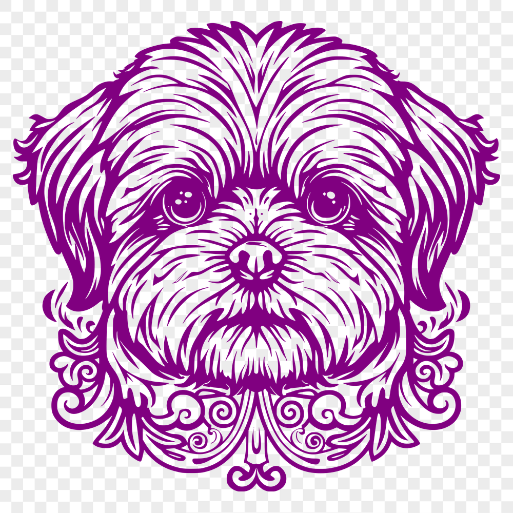 Stunning Shih Tzu In PDF