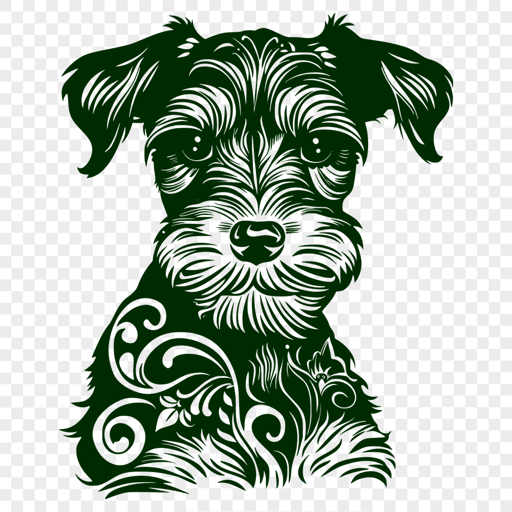 Free Miniature Schnauzer Vector Image